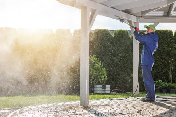 Best Pool Deck Cleaning  in Viera East, FL